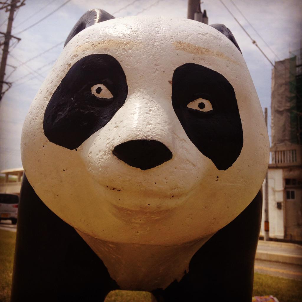 ｴﾘｻﾞﾍﾞｽｶﾗｰ ﾁｬｺ 近所の公園のパンダめっっっちゃ怖い Http T Co Pw5pcgngtj