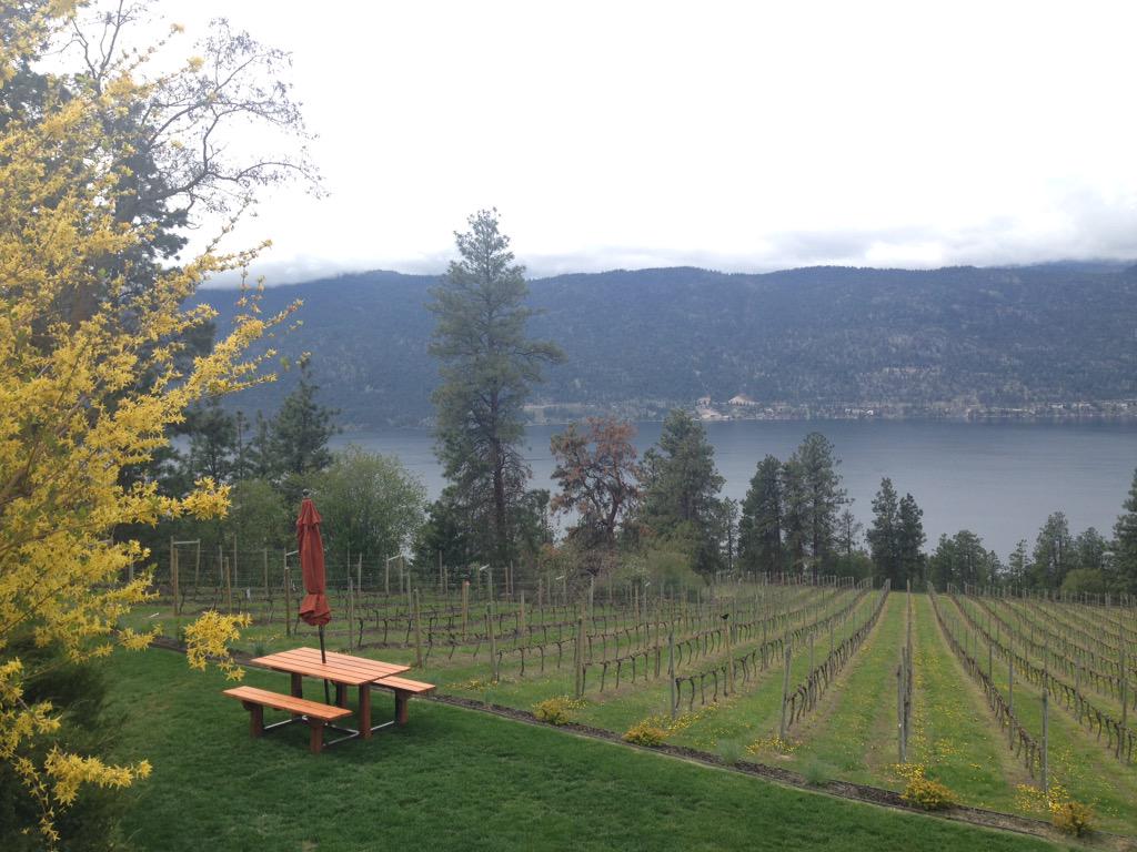 CharmCasson's tweet photo. #TasteOfLakeCountry @LakeStoneLiving @GrayMonkWinery @exnihilowines @intriguewines @50thparallelwin @AncientHillWine http://t.co/JqKRuBYVLd