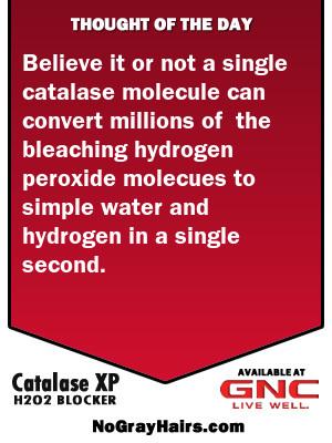 NGHCatalase's tweet photo. Catalase processes millions of H2O2 molecules per second. See image. From http://t.co/UtJ8oDFY3a #catalaseendsgray http://t.co/YDAcJF7Lxu