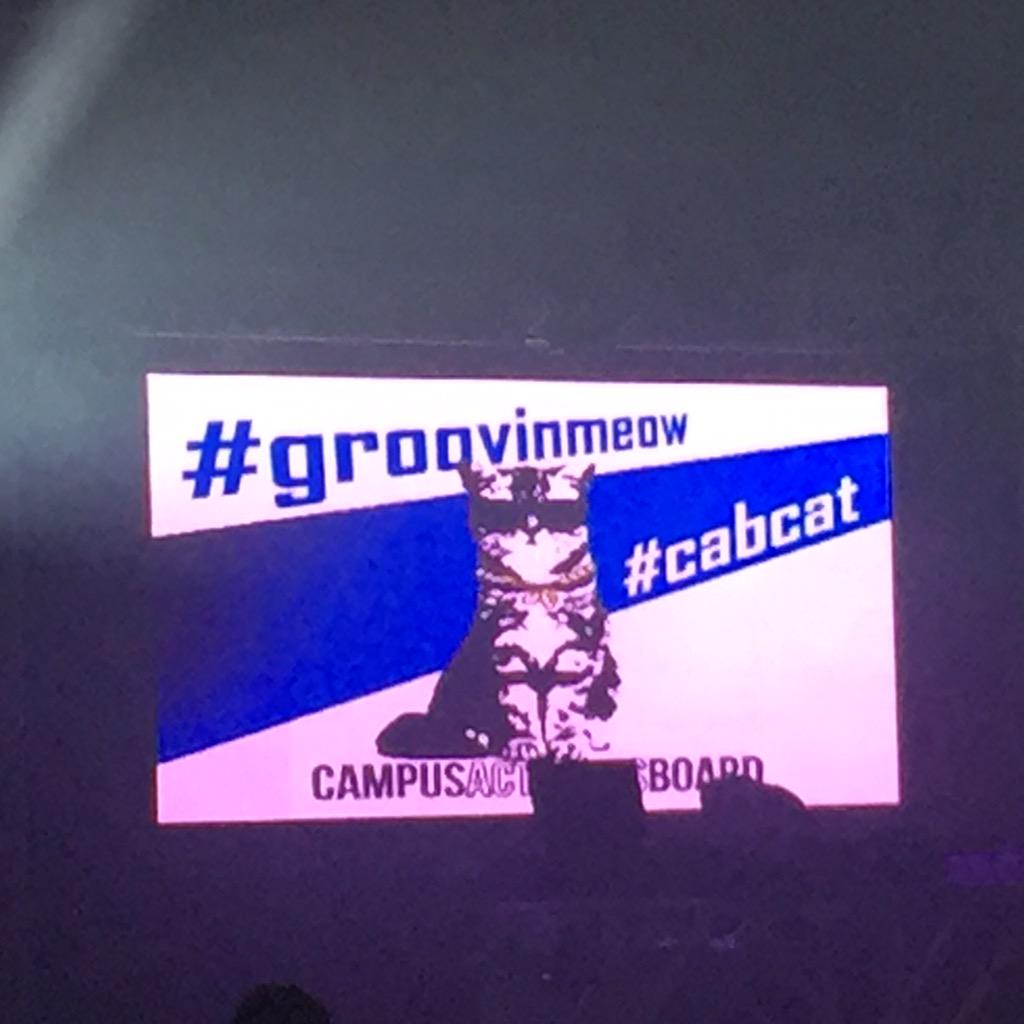 BeckerVPStuLife's tweet image. #groovinmeow @BeckerNews #grooveBoston #HawkFest  @Becker_CAB