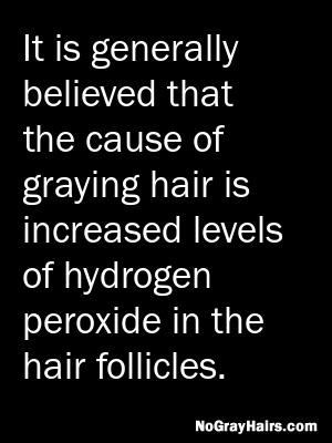 NGHScience tweet picture