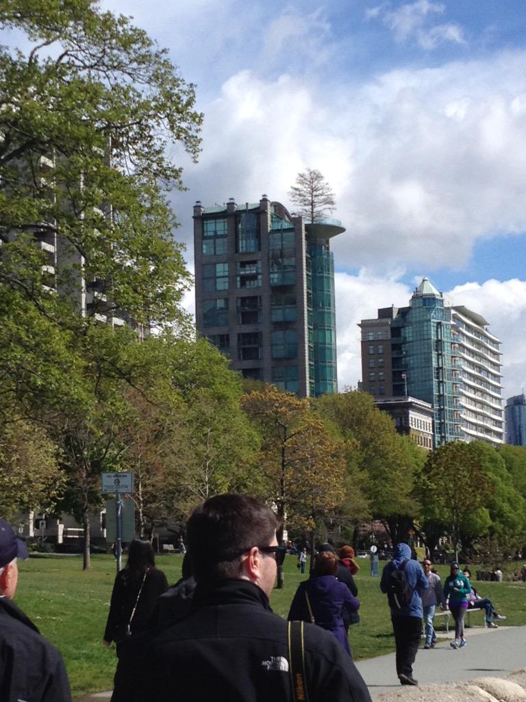mrsjbecker's tweet image. @abd4lw Found some beautiful plants in Vancouver today! #stanleypark #gr4science