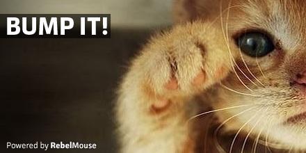 PaganLady3776's tweet photo. @AAskelson :) I am an emoteless #TechTwit lol )0( #FistBumpKitty http://t.co/I0VDmSfVwO