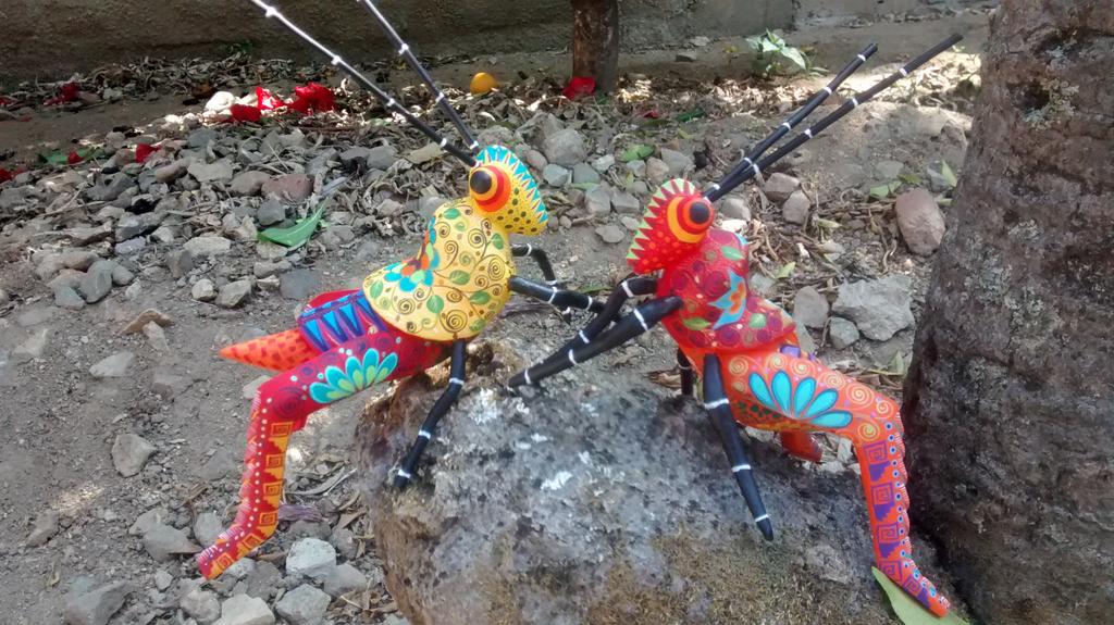 ArtCopal's tweet photo. Buenas noches a todos,presentando a lo significativo de oaxaca los chapulines tallados a mano solo en fabrije oaxaca http://t.co/tjdVKeZGgc