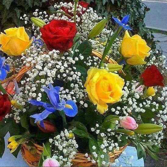 alsham0 tweet picture