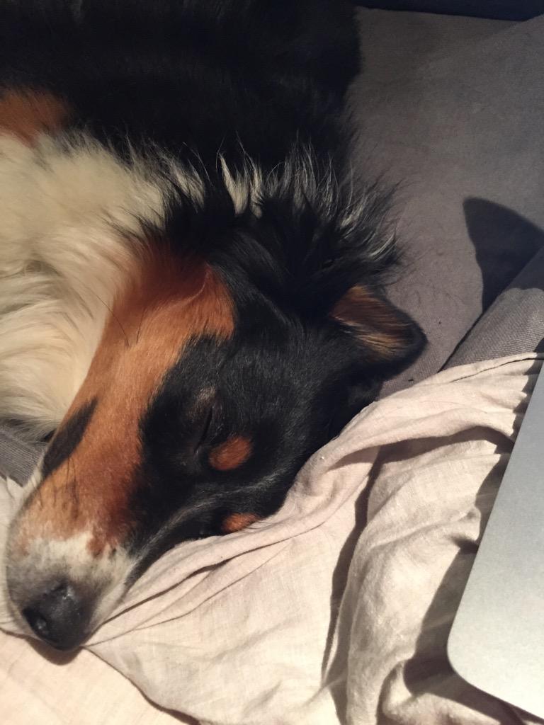 Embedded image permalink