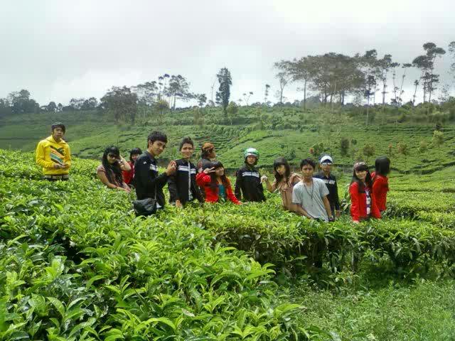 Aya kangen anu maneuh. Nitenan nataan teuteup anu meumeut. Iraha deui atuh tepang, patepung patarema panangan deui?