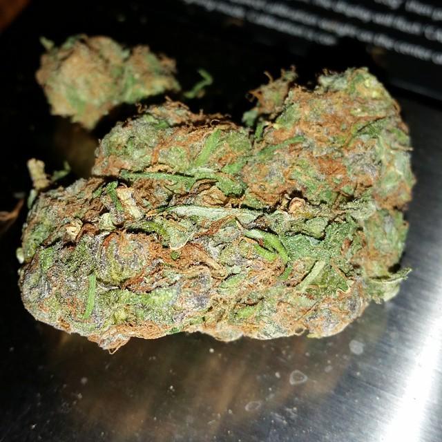 WEEDOFIG's tweet photo. After three days of being down and out, I couldn't be happier
#OGKush #KingsofKushCo #KingsofKush #Kronic #40to5 #L… http://t.co/CXglyyu2qB
