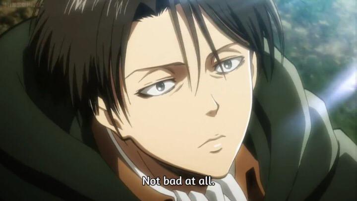 Captain Levi (@Based_Levi_) / Posts / X