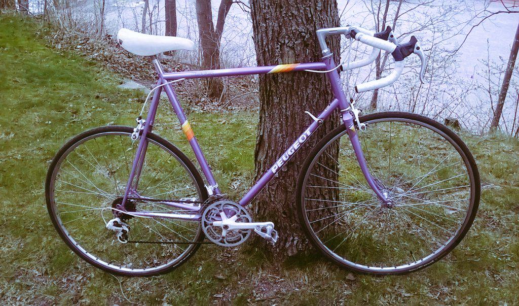 Classic Peugeot Mont Blanc. #Peugeot #vintagesteel #retrobikes