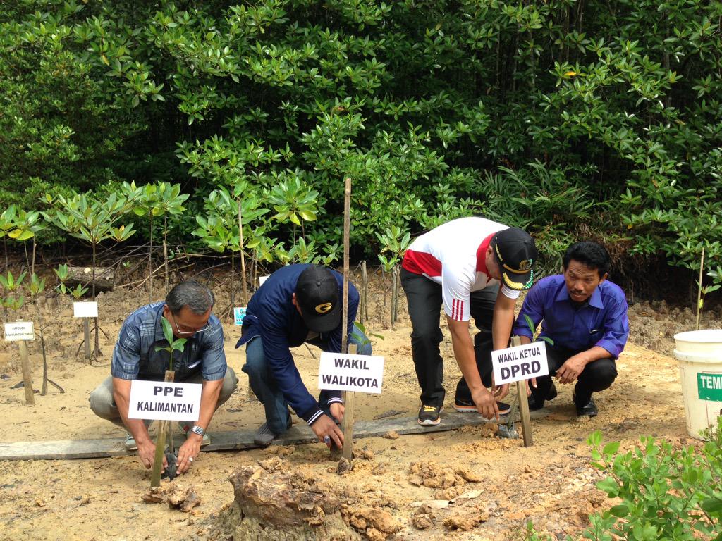 Penanaman mangrove bersama  <a href="/BalikpapanHijau/">BalikpapanHijau</a> ,sliber, mipala,dsunset,Slankers bpn Yoi #Mangrove #EarthDay