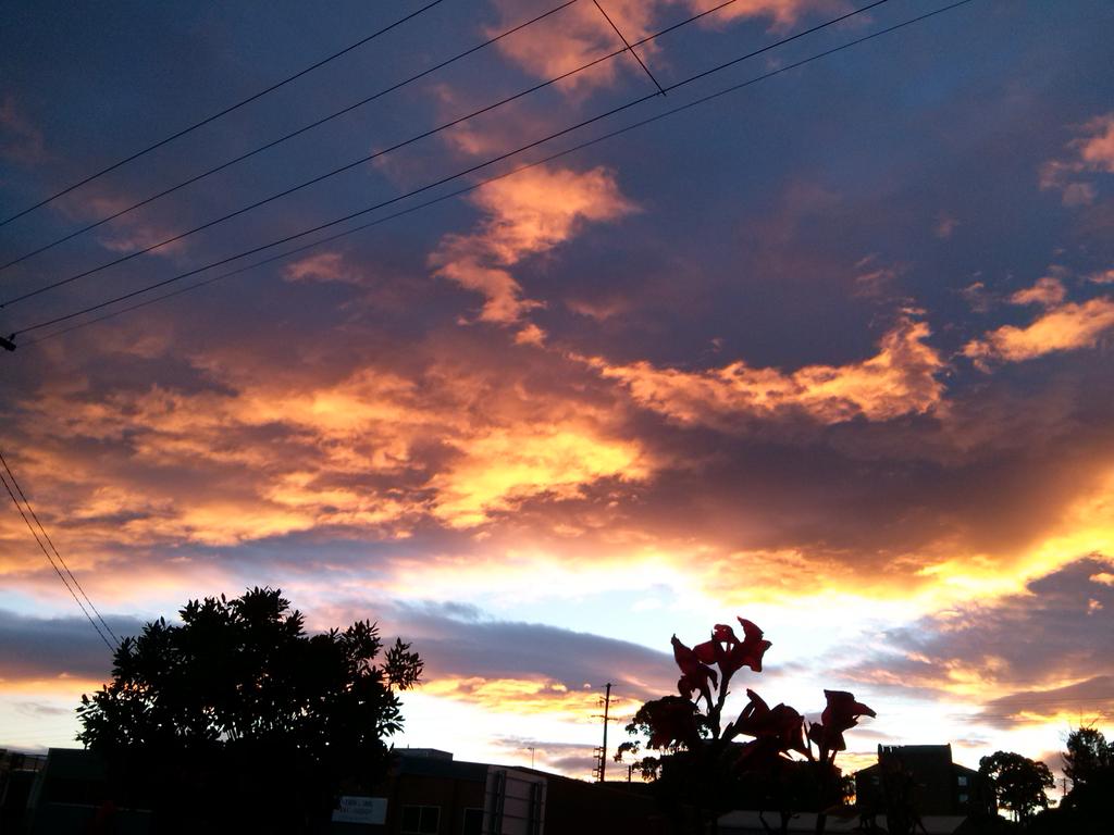 TurtleMyShell's tweet image. @elmtreasonband Hi guys ,I'm really sick with the flu hope you are well big aussie hugs XX