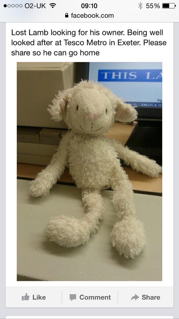 Lost lamb in Exeter! Looks like he's well loved and probably being very missed! #canwereunite?