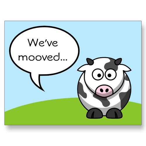 The only thing better than this pun is that all our updates can be found in one location! Follow <a href="/accessinclusion/">AI-Media</a>