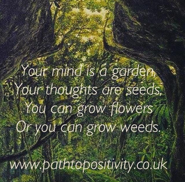 Path2Pos's tweet photo. #ThinkBIGSundayWithMarsha #pathtopositivity. I know which one I would prefer to grow :) http://t.co/WTrvBNcDJb
