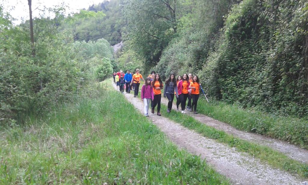 #mendikalero15

1015 personas en la mendimartxa de el kalero