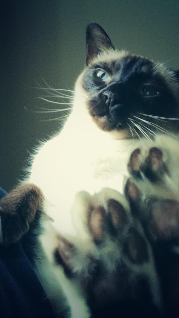 rickygervais's tweet photo. Look at those clodhoppers. #Ollaby http://t.co/pUt5n28gij