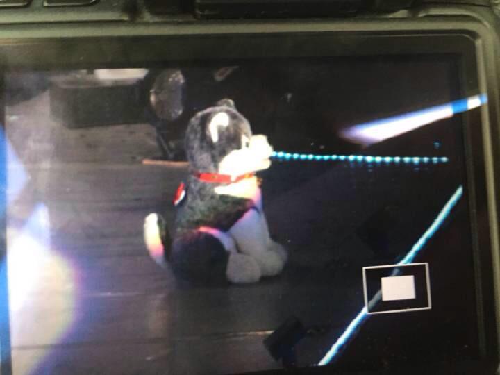 Embedded image permalink