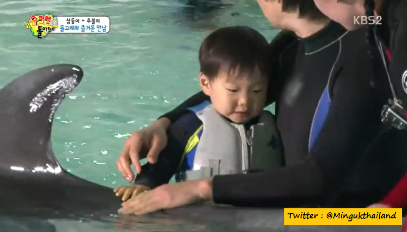 mingukthailand's tweet photo. [CAP EP.75]  แทฮัน มินกุ๊ก มันเซ กับปลาโลมา :D #SongTriplets  #Songdaehun #songminguk #songmanse http://t.co/Ojs6kxPN1k