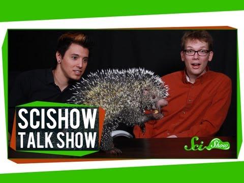 _potential__'s tweet photo. Hank and Michael Meet an Alien: SciShow Talk Show #4 http://t.co/SNg3jnqBRD #staged http://t.co/CSPVEQfA6L