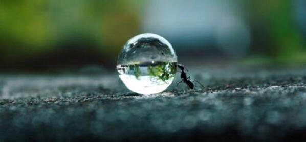 NatuPictures's tweet photo. El verdadero reto está en las cosas dificiles - nada en la vida es imposible. https://t.co/jBmyfOnAPN