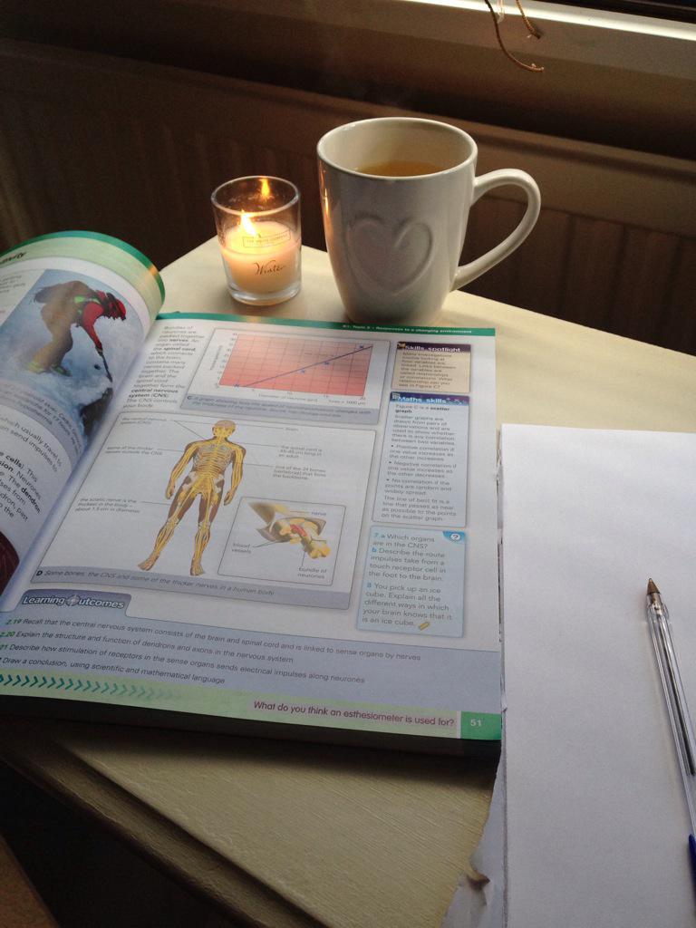 Em_CookBakeEat's tweet photo. Beautiful sunny Sunday and here I am stuck inside revising ๐ญ #examhate http://t.co/fAMdcugA36