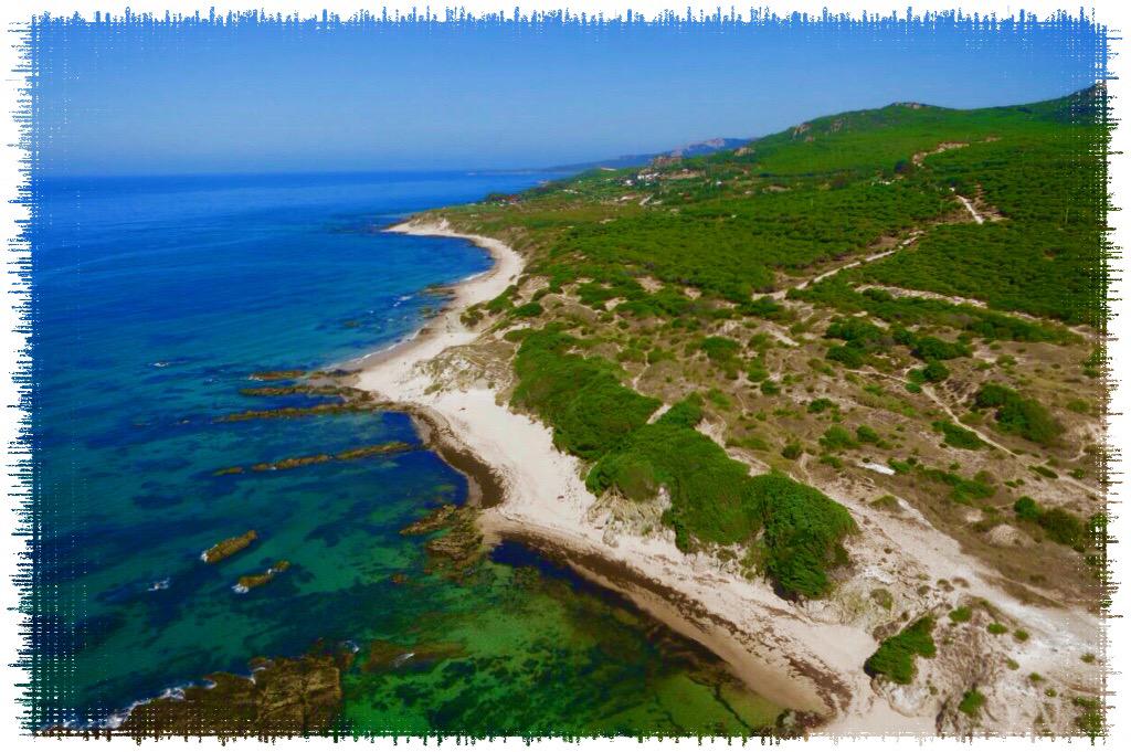 CadizTurismo's tweet photo. Que maravilla ;) RT"@fotostarifa: Punta Paloma. Vive la naturaleza en estado puro @paradores saludos http://t.co/2kiq7MoYk1"