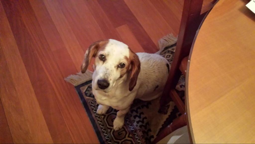 afercil's tweet image. 