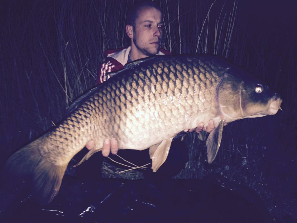 Buck_Denies's tweet photo. @FoxInt a mate of mine, last night http://t.co/qTHTQcc9Np