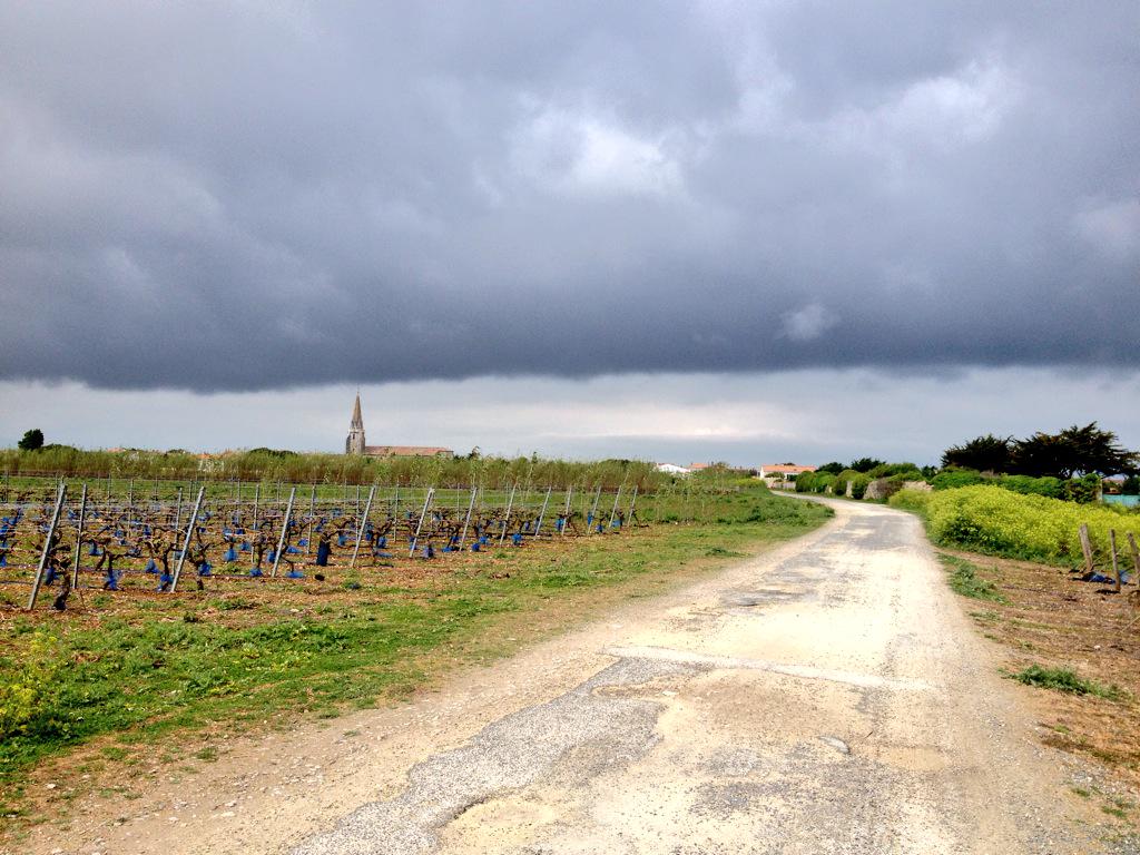 MelissaBfdj's tweet photo. L'île de Ré, son ciel, et nous. http://t.co/iyfEhklJZx
