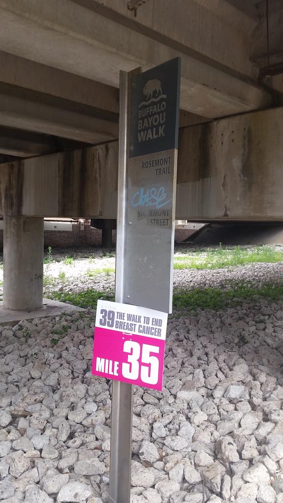 vscjev2014's tweet photo. @avon39walk #Powerof39 #Houston #Avon
Walking the distance for cancer survivors and patient's http://t.co/eUkIMqibZD