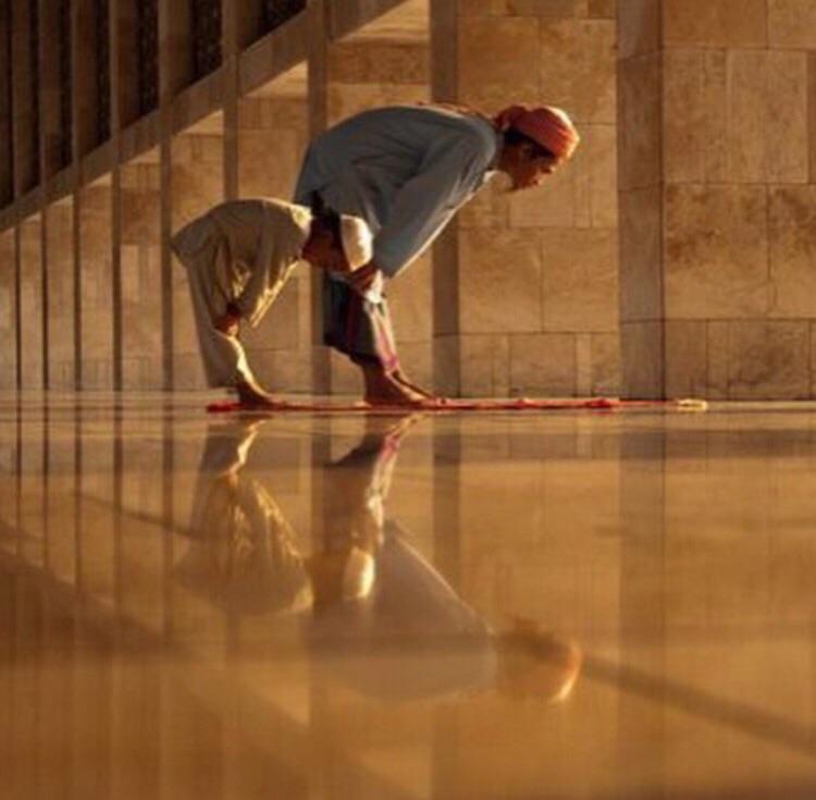 السنن الرواتب:
4 قبل الظهر و2 بعد الظهر
2 بعد المغرب
2 بعد العشاء
2 قبل الفجر

الجزاء: “بنى الله له بيتاً في الجنة”
.