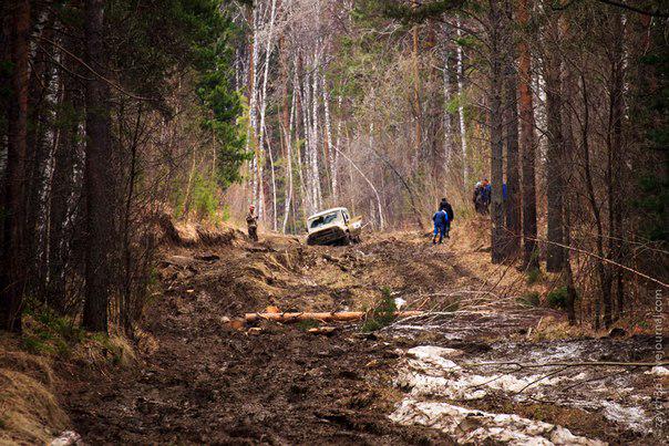 Евросоюз ожидает реформ Конституции, судоустройства и прокуратуры, - еврокомиссар - Цензор.НЕТ 4119