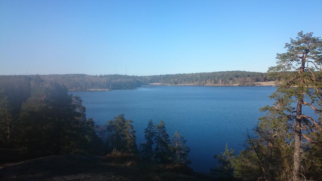 Escacri's tweet photo. Running! :D http://t.co/r5BNGfui7G