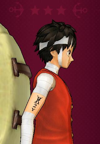 Hazuki トレクル熱上昇中 V Twitter Dhお疲れ様でした はじめての 5ルフィゲットでしたw 3d2yルフィの腕の文字やルフィ ジンベエちゃんの文章にちょっと感動しました ダンバト Http T Co 7sdrrrromg