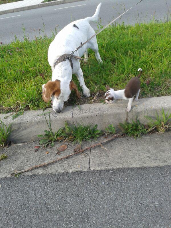 afercil's tweet image. 