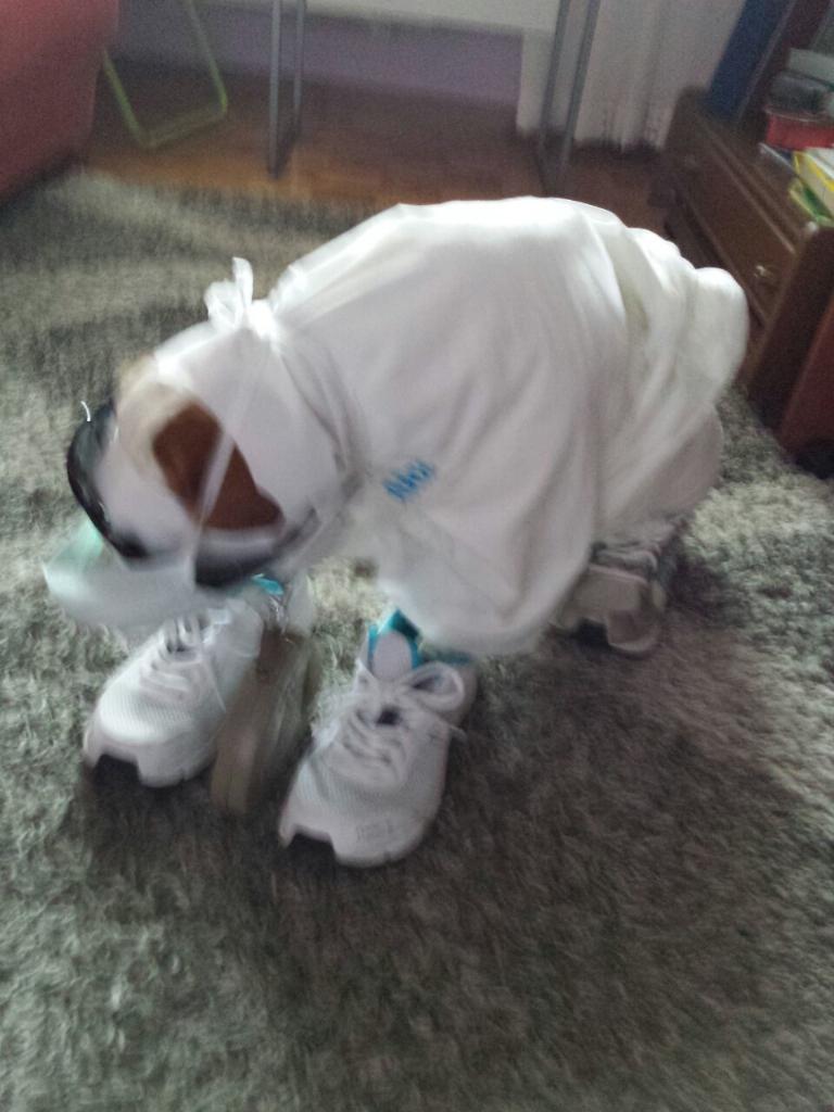 afercil's tweet image. 