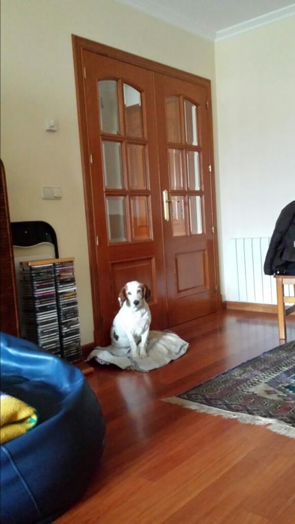 afercil's tweet image. 