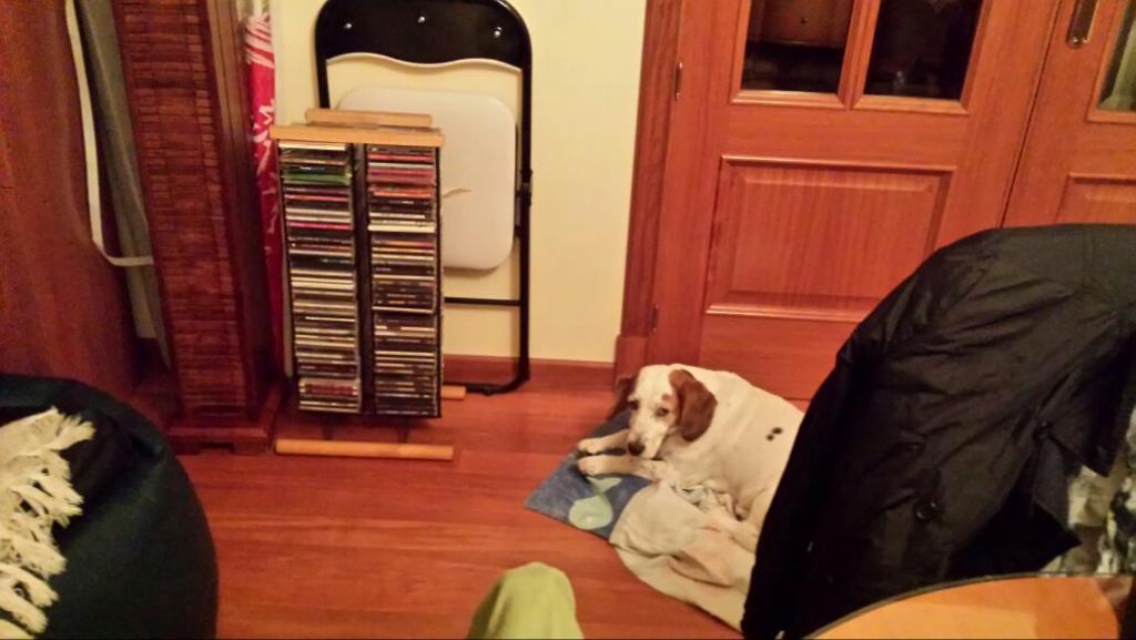 afercil's tweet image. 