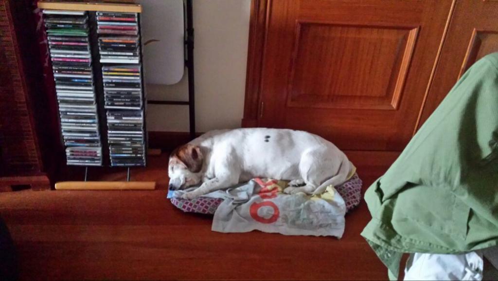 afercil's tweet image. 