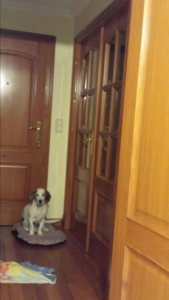 afercil's tweet image. 