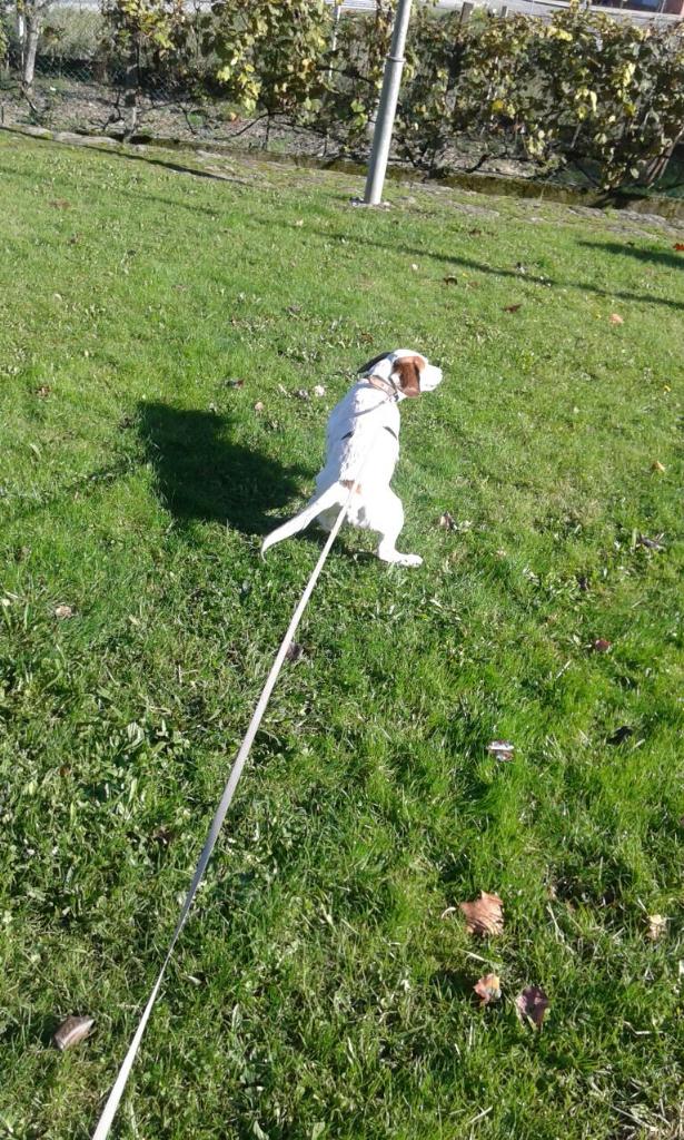 afercil's tweet image. 