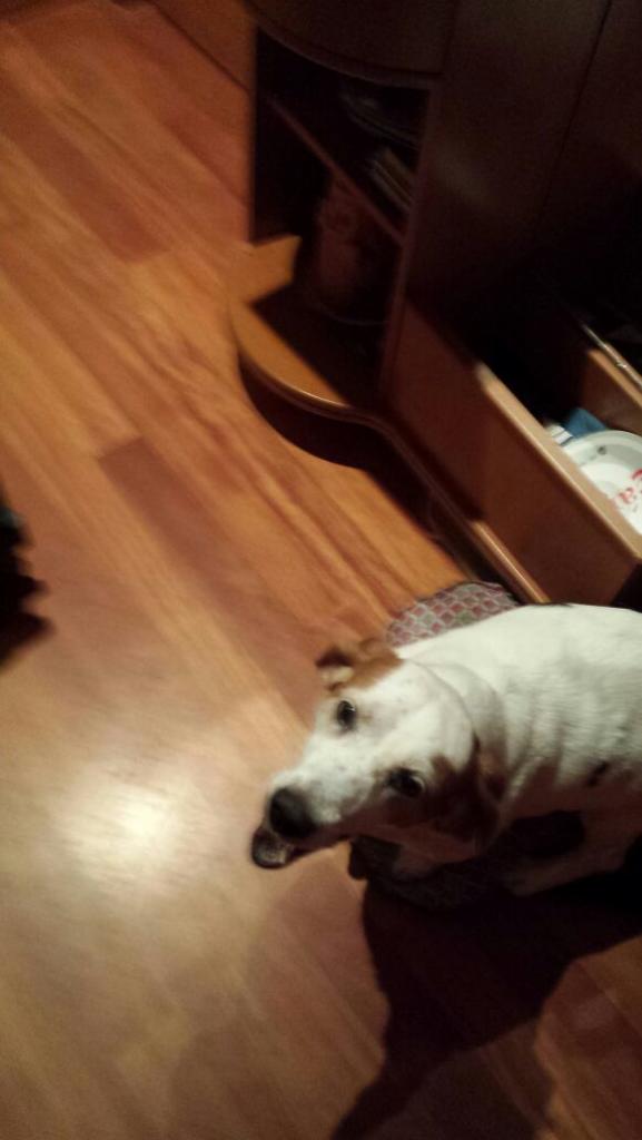 afercil's tweet image. 