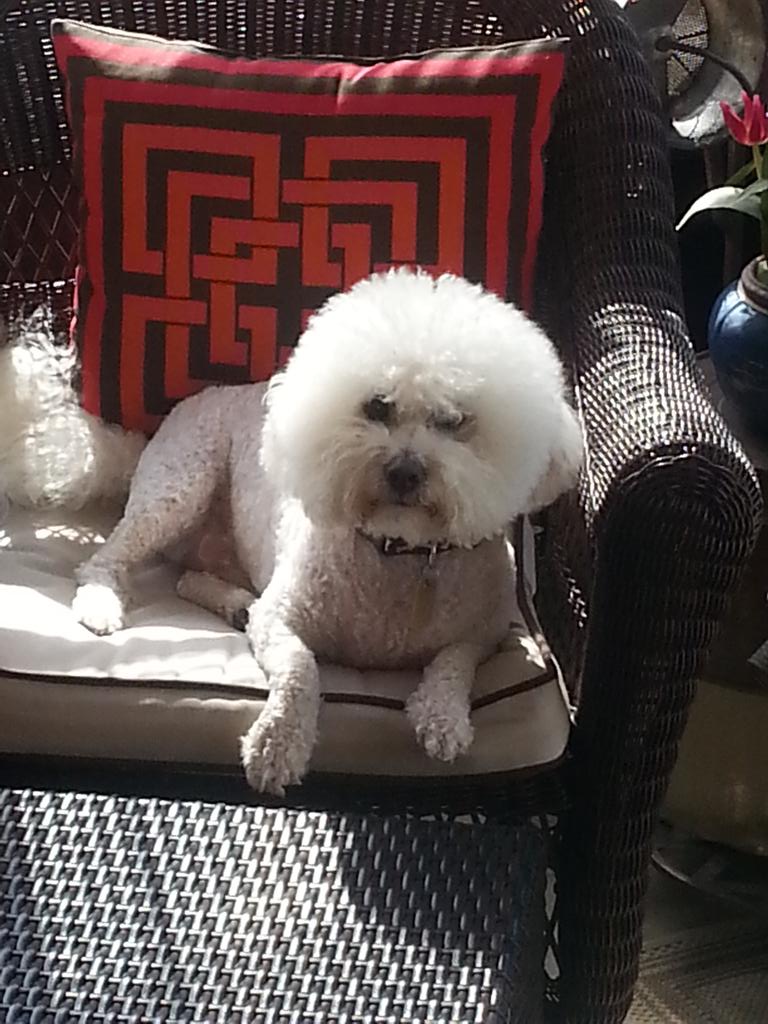 Amy Stone tweet media