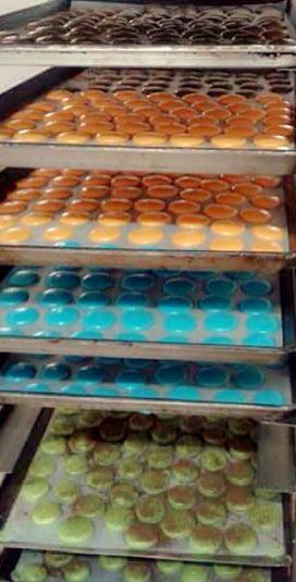 khoun59011182's tweet image. มากกะรอง