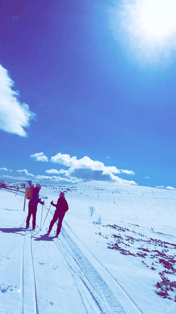 stromisabella's tweet photo. Långtur på fjälltoppen i strålande sol idag☀️ #Tänndalen http://t.co/K4Vz5WyXwz