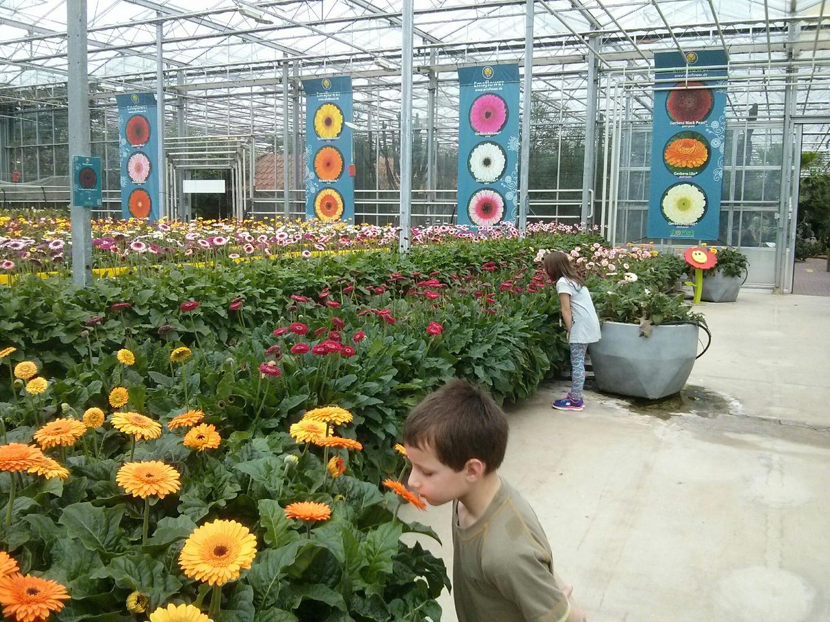 Op bezoek bij @Emsflower: bloemen, vlinders, vissen, tropische planten en een speelparadijs  #geheimoverdegrens