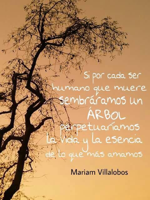 PsicoArbol's tweet photo. http://t.co/EqmUusDAn3