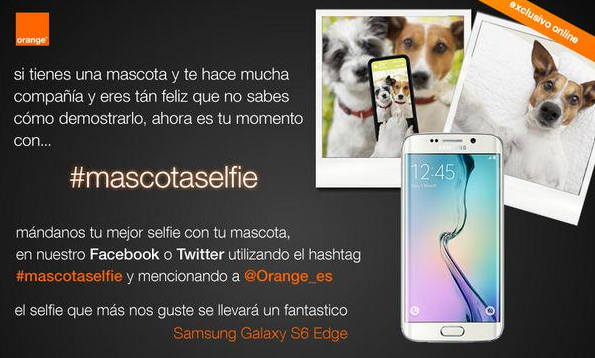 orange_es's tweet photo. El #mascotaselfie más chulo se lleva el genial Samsung Galaxy S6! Anímate a participar ;-D http://t.co/Nw23Hai9P5 http://t.co/X08PzqHTYN