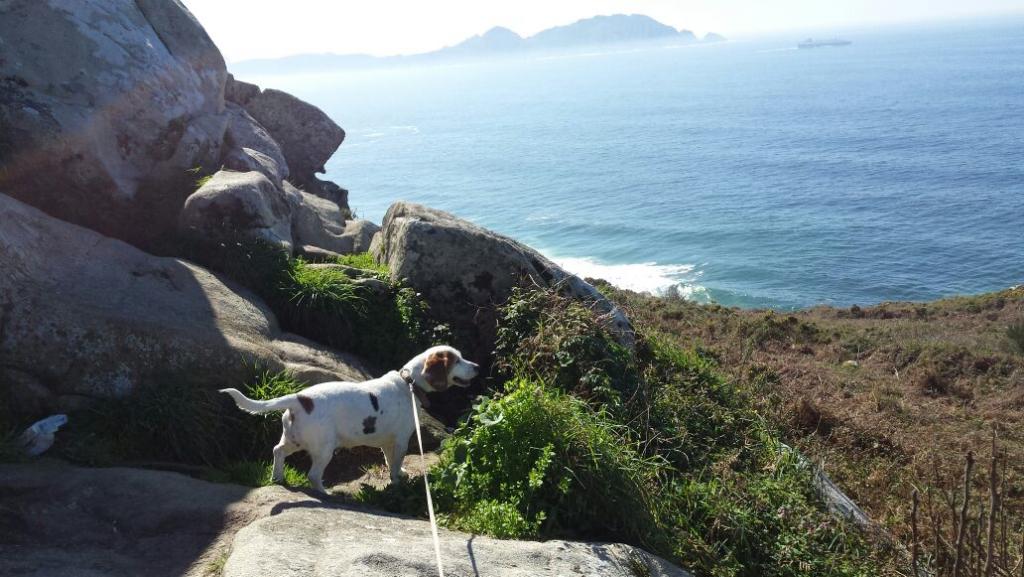 afercil's tweet image. 